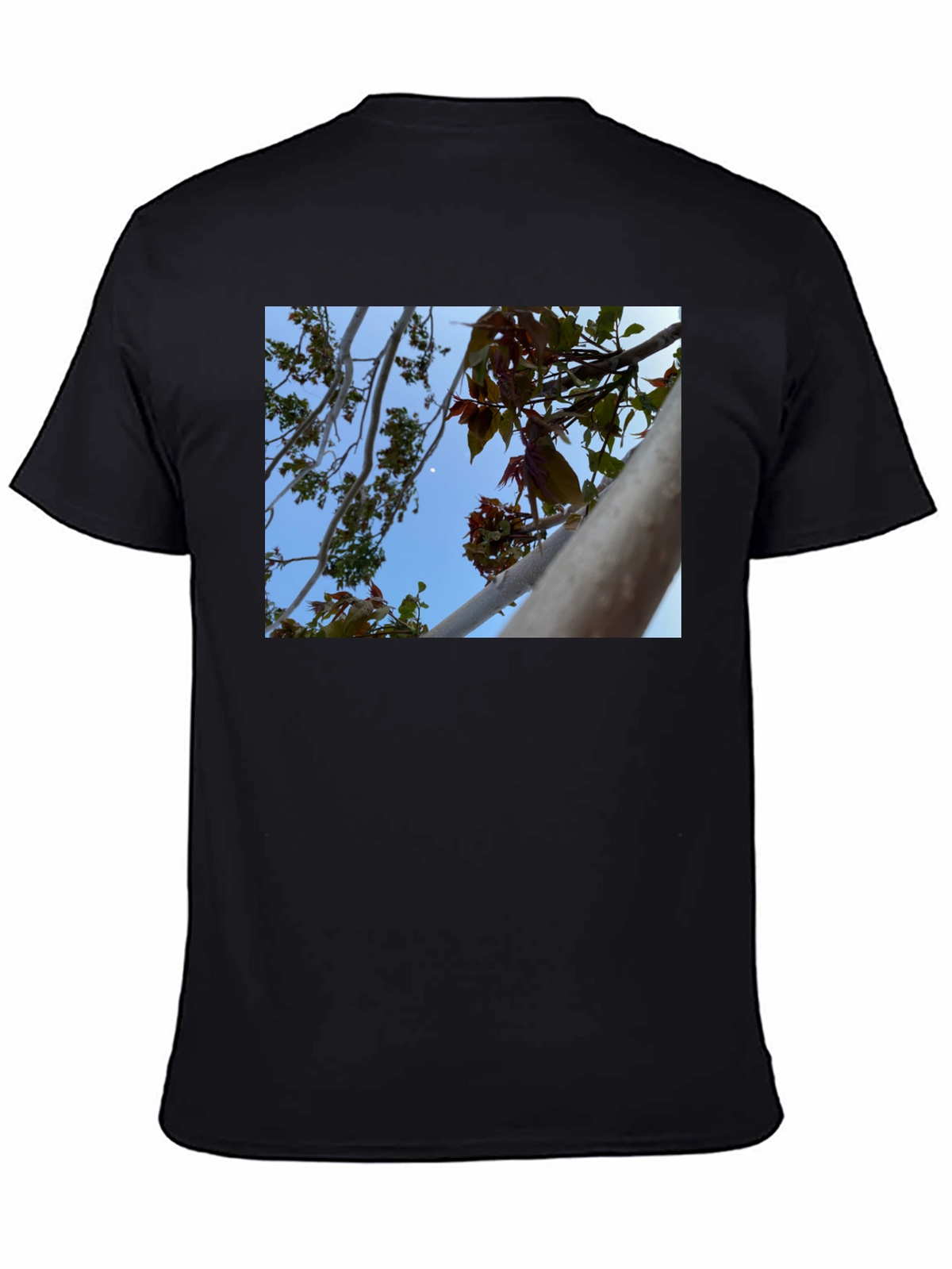 Nature View T-Shirt - Branches & Sky Design