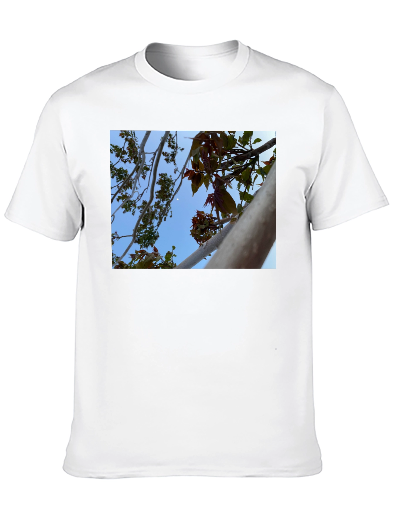 Nature View T-Shirt - Branches & Sky Design