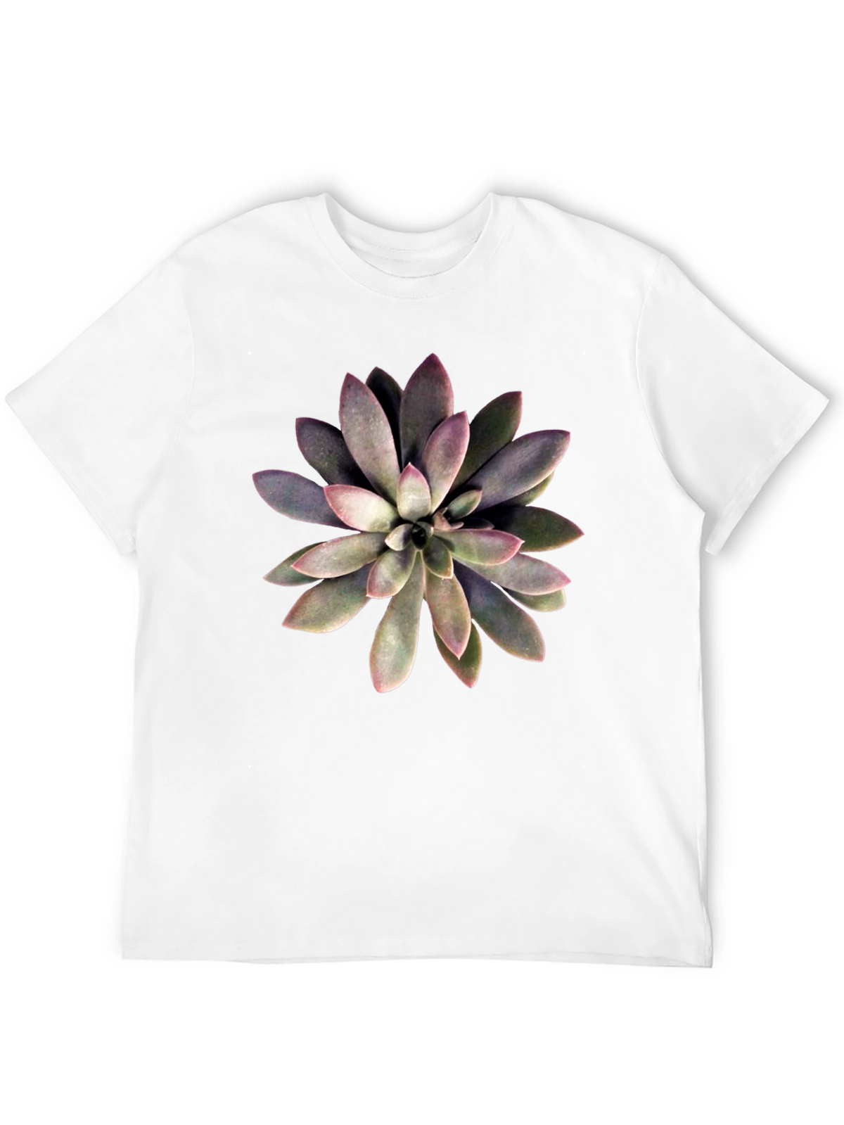 Succulent Graphic Print Black T-Shirt
