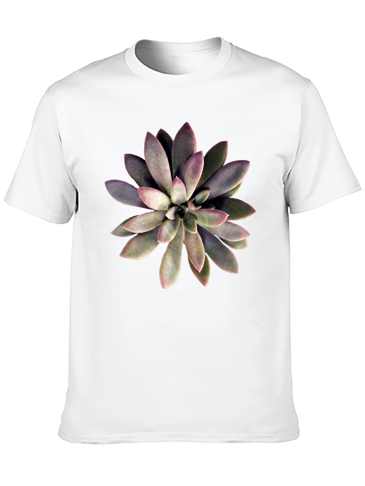 Succulent Graphic Print Black T-Shirt