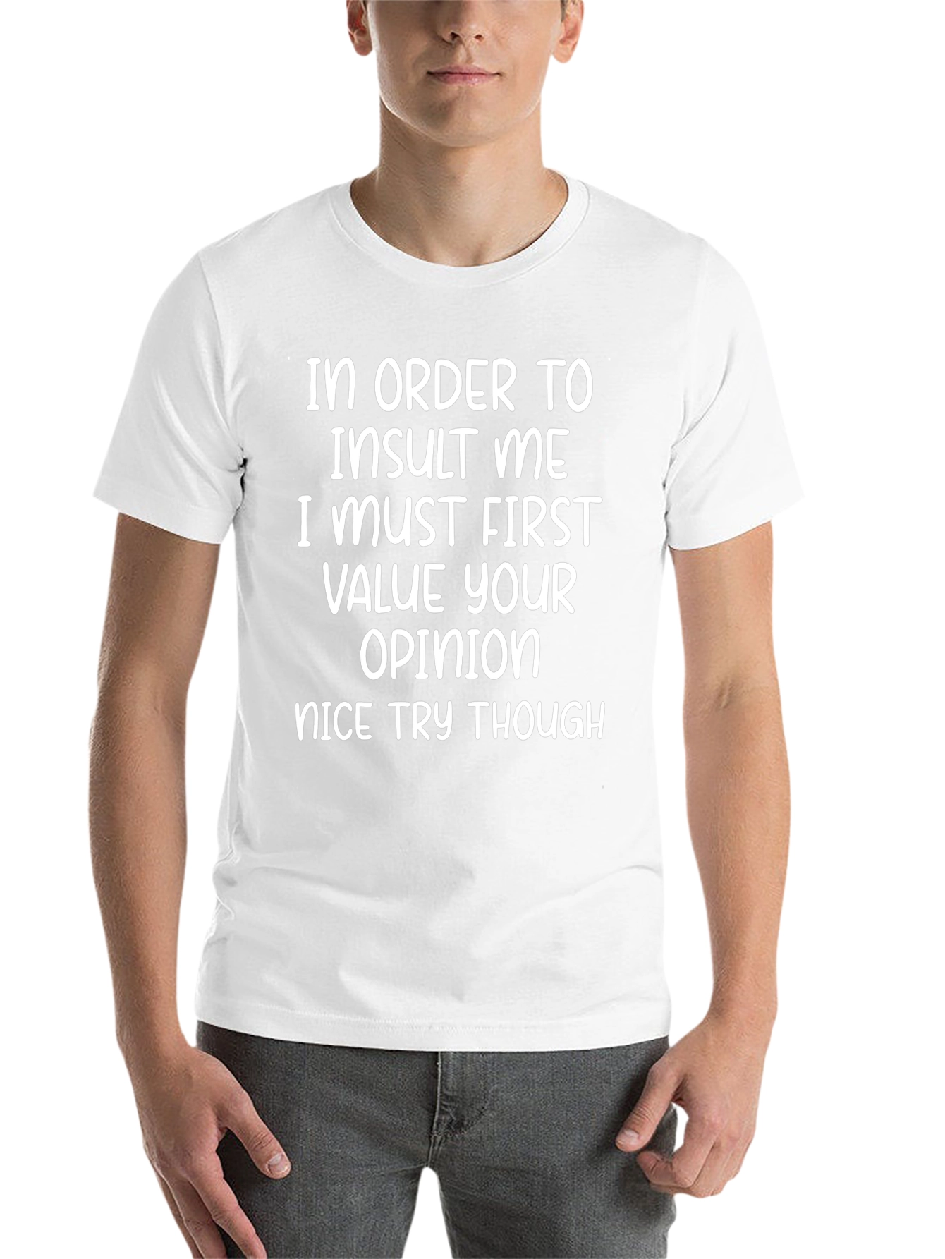 Funny Graphic T-Shirt - Insult Me Quote