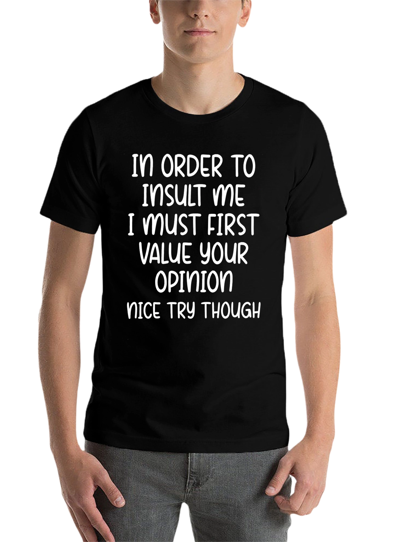 Funny Graphic T-Shirt - Insult Me Quote
