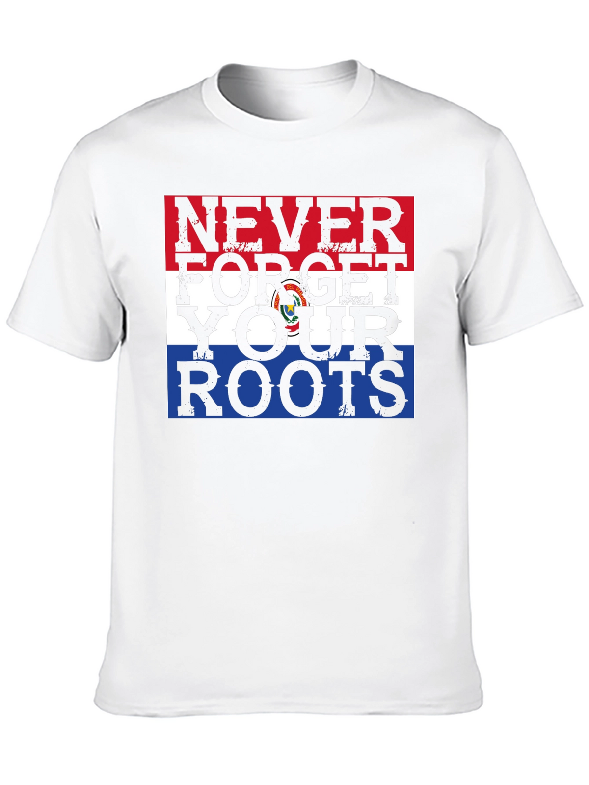 Never Forget Your Roots Paraguay Flag Graphic Tee