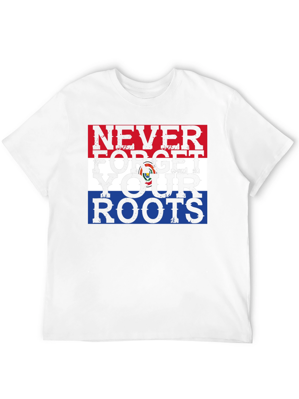 Never Forget Your Roots Paraguay Flag Graphic Tee