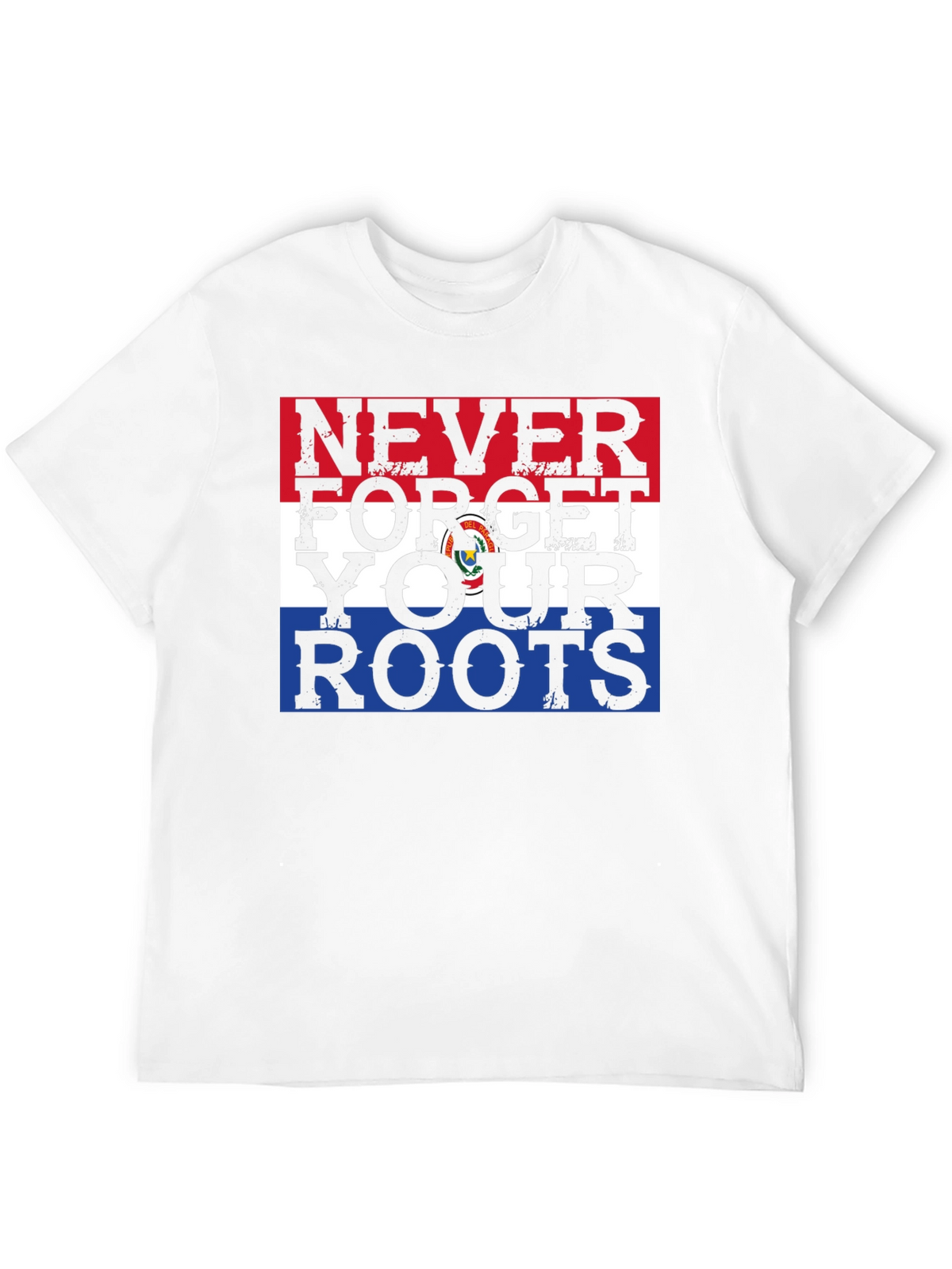 Never Forget Your Roots Paraguay Flag Graphic Tee