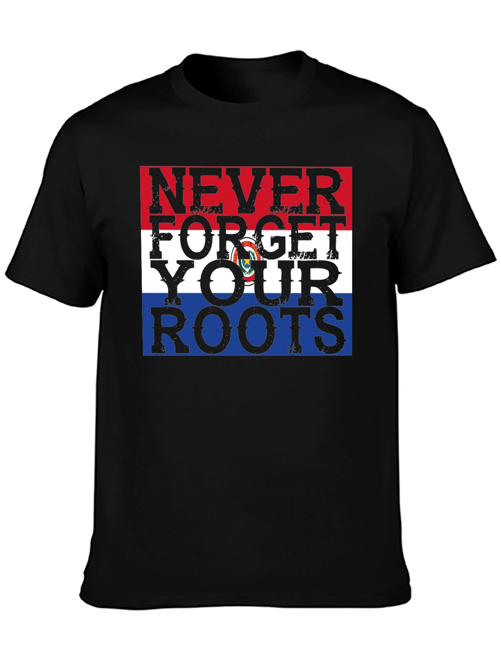 Never Forget Your Roots Paraguay Flag Graphic Tee