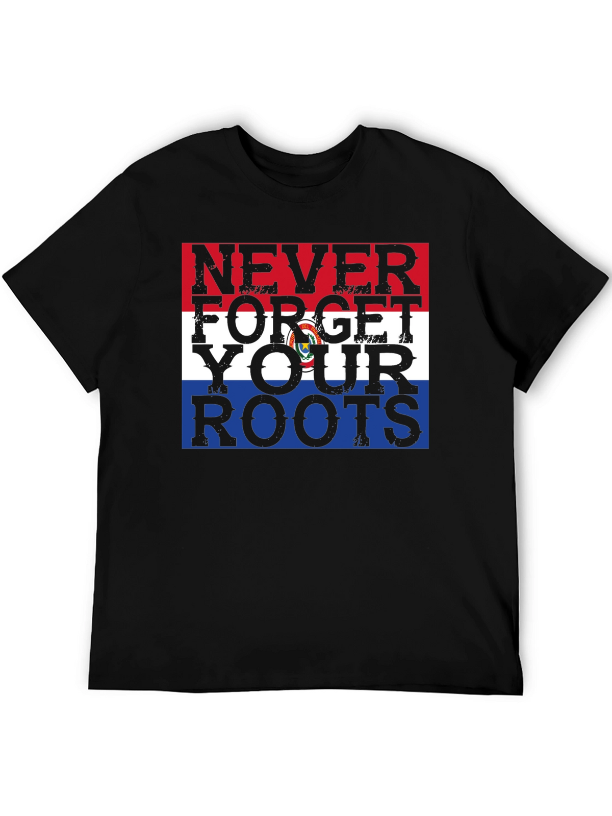 Never Forget Your Roots Paraguay Flag Graphic Tee