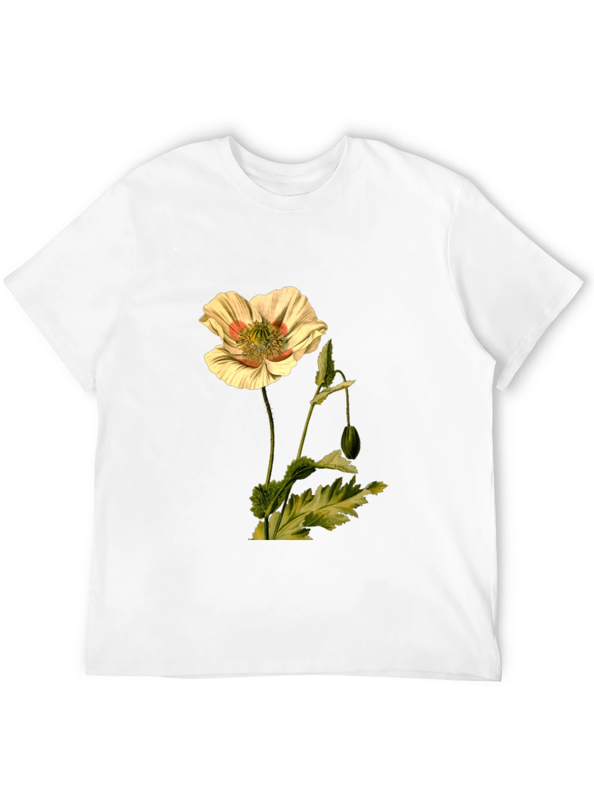 Botanical Flower Print Black T-Shirt