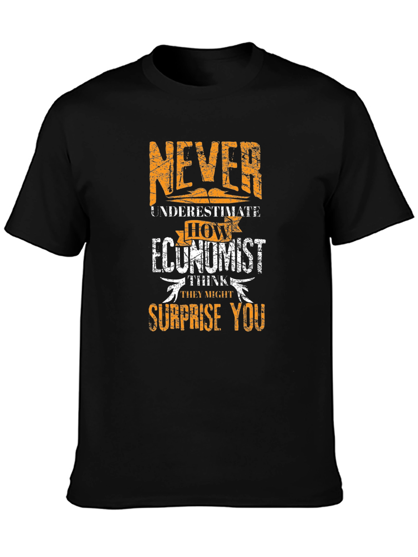 Economist Funny T-Shirt - Never Underestimate