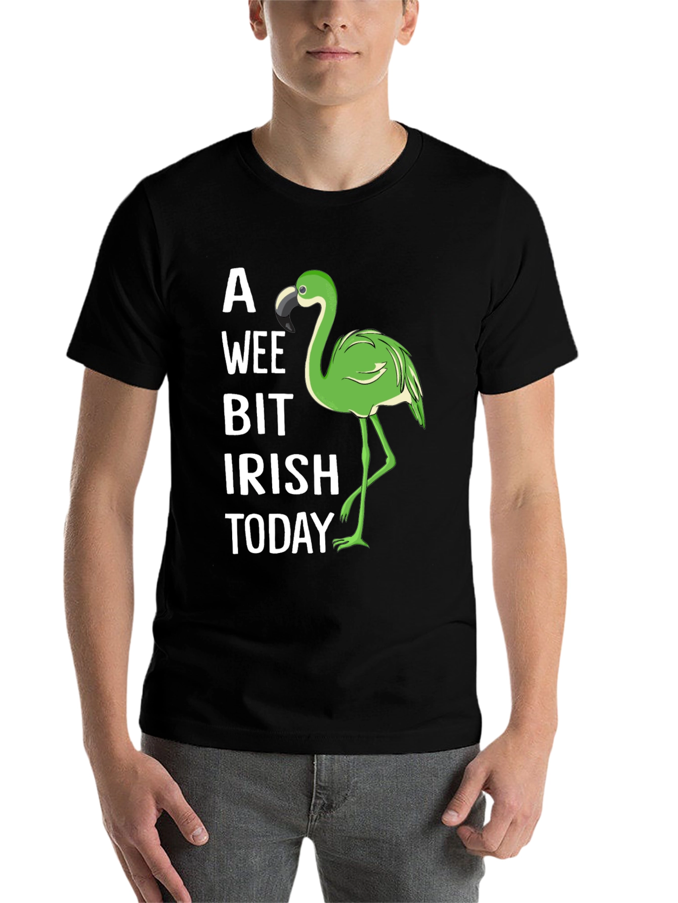 A Wee Bit Irish Flamingo St. Patricks Day Graphic Tee