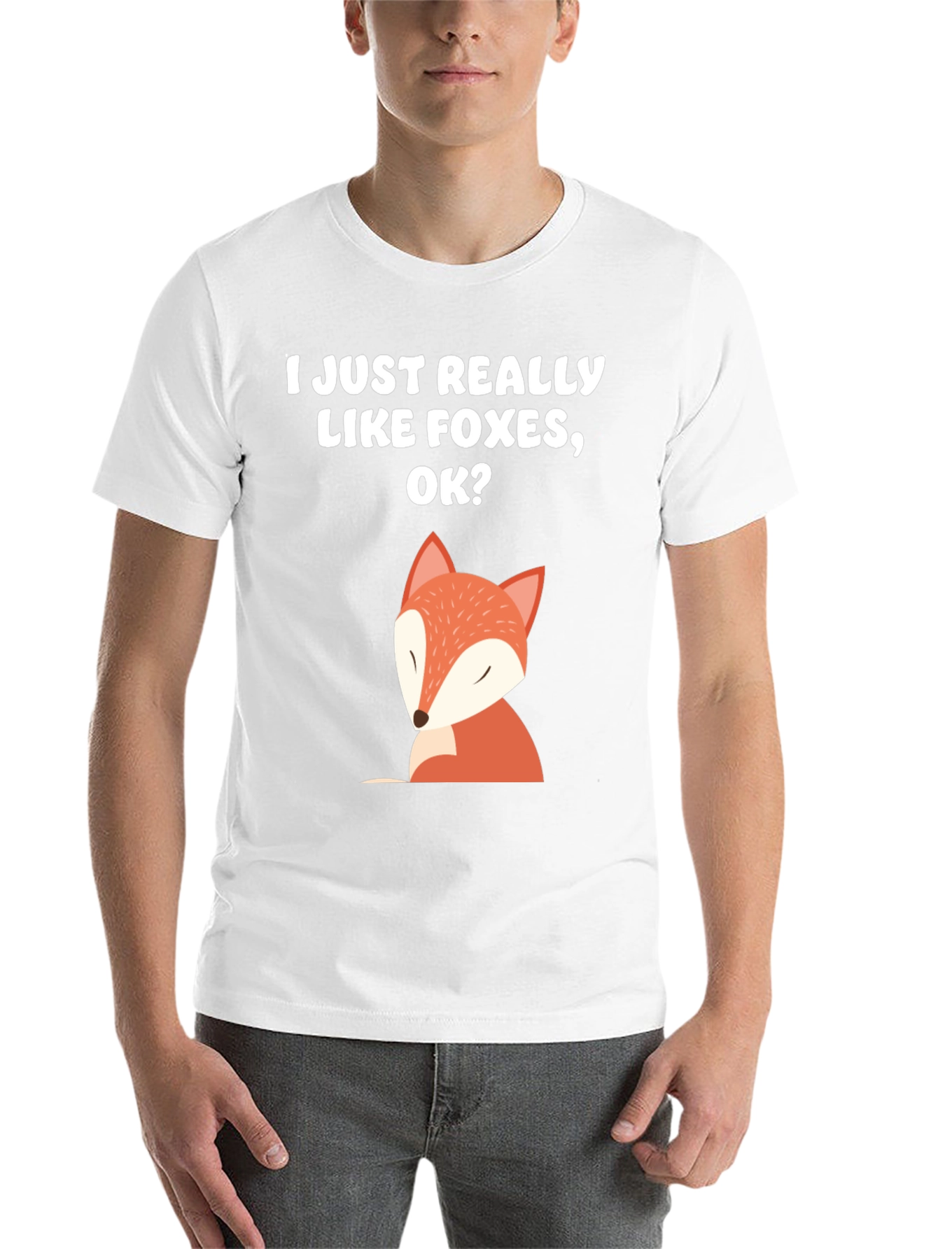 I Just Really Like Foxes OK T-Shirt