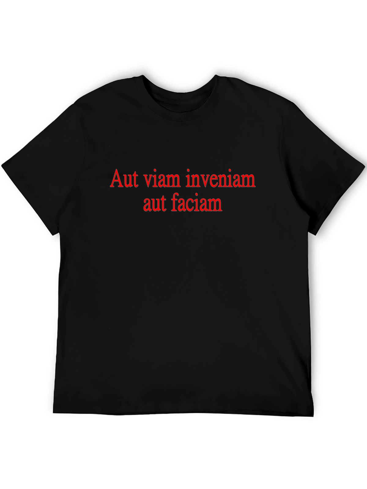 Aut Viam Inveniam T-Shirt - Motivational Latin Quote Tee