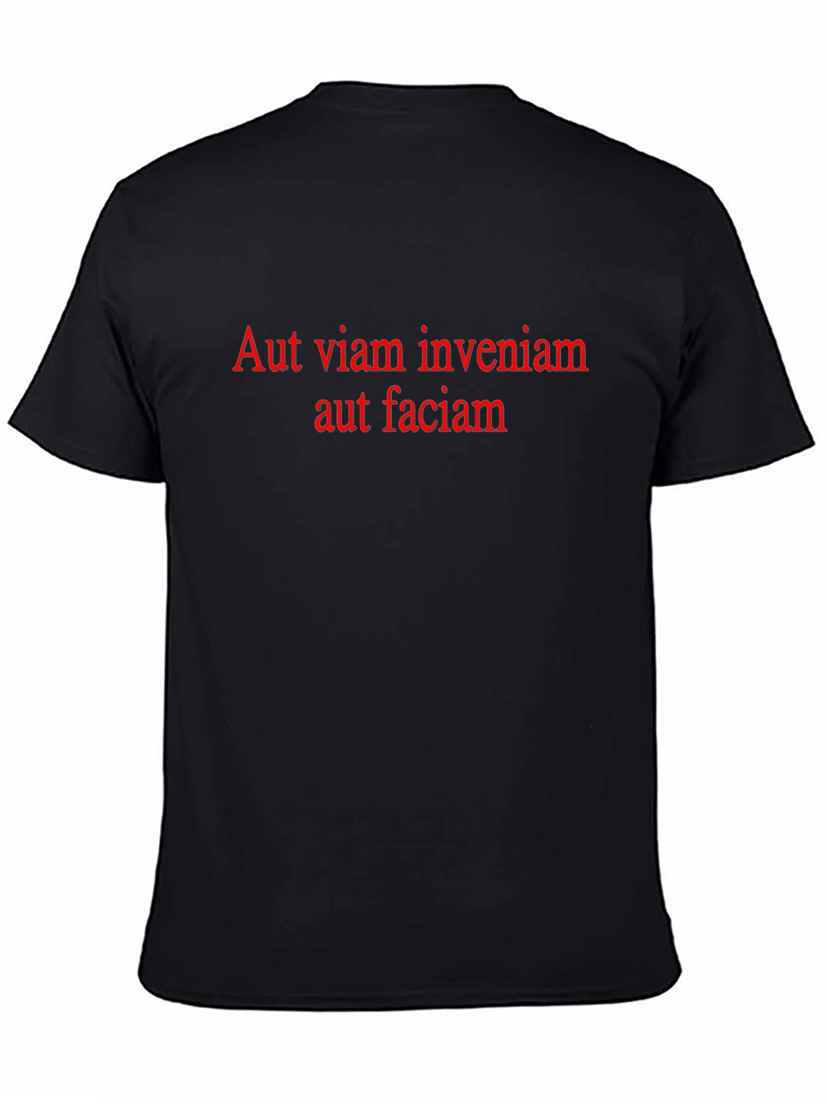 Aut Viam Inveniam T-Shirt - Motivational Latin Quote Tee
