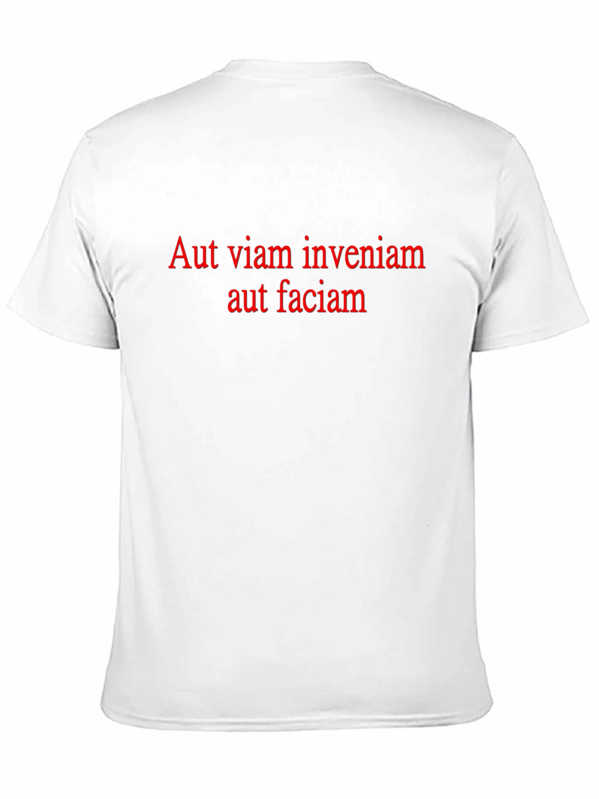 Aut Viam Inveniam T-Shirt - Motivational Latin Quote Tee