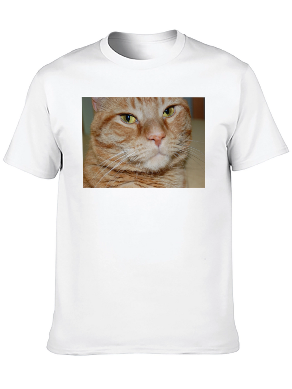 Ginger Cat Graphic T-Shirt - Mens Black Tee