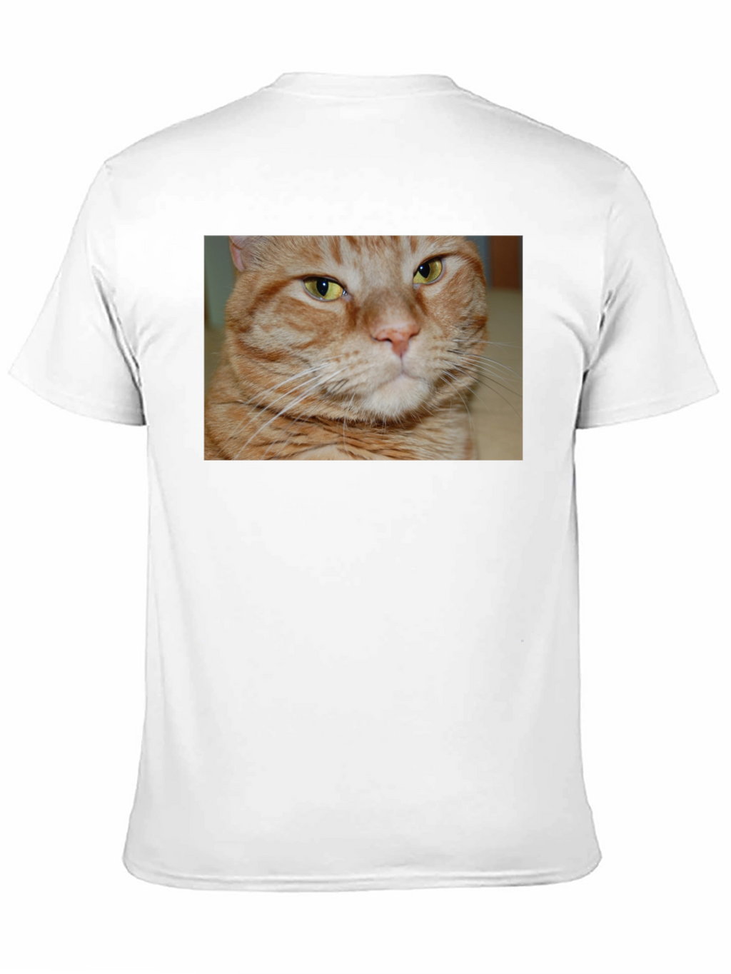 Ginger Cat Graphic T-Shirt - Mens Black Tee