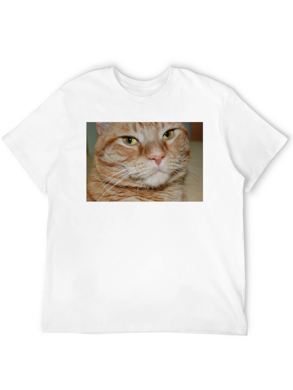 Ginger Cat Graphic T-Shirt - Mens Black Tee