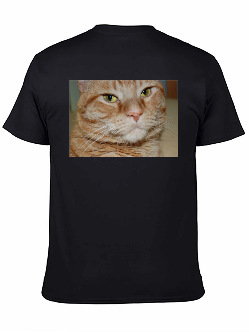 Ginger Cat Graphic T-Shirt - Mens Black Tee