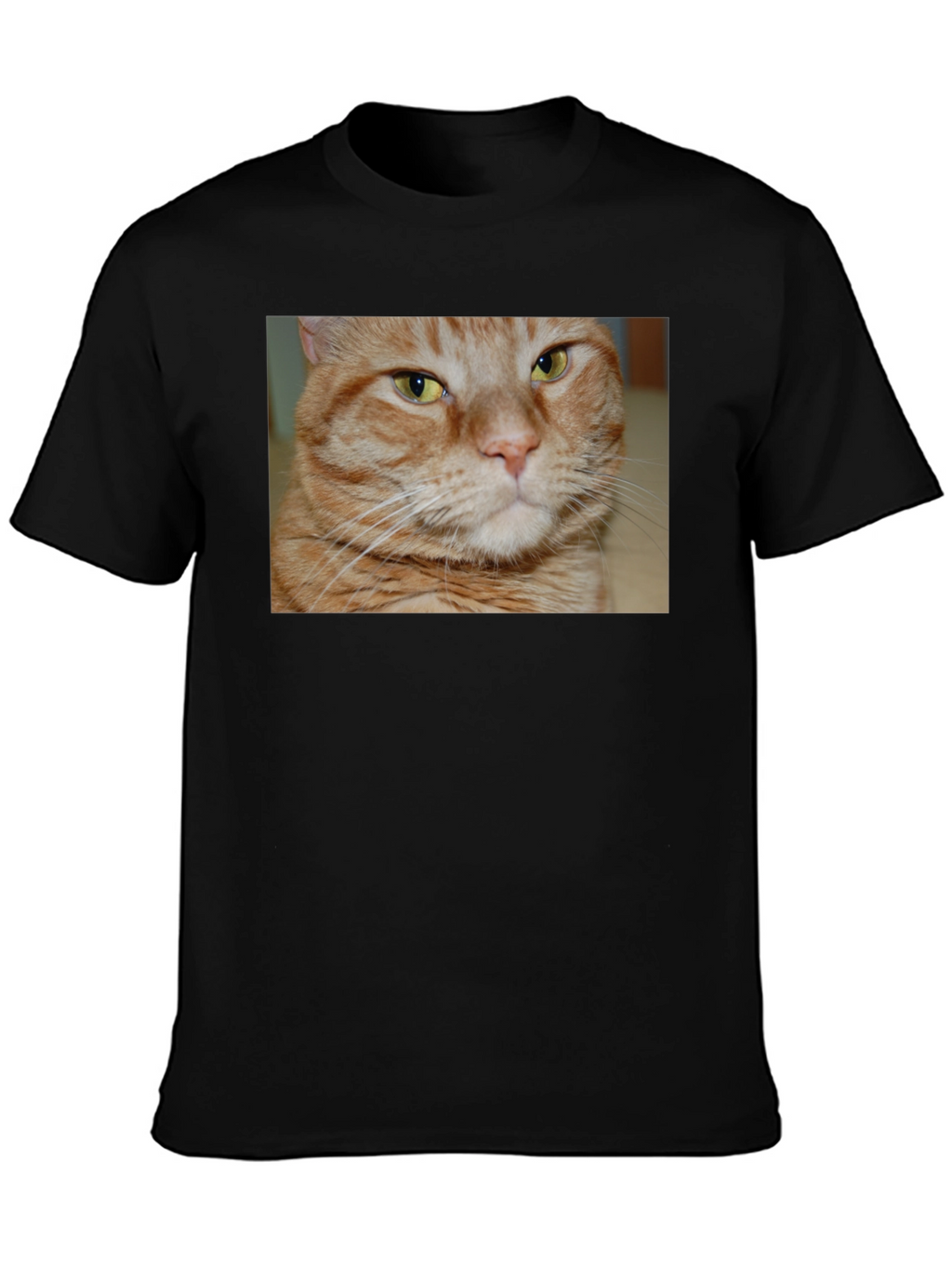 Ginger Cat Graphic T-Shirt - Mens Black Tee