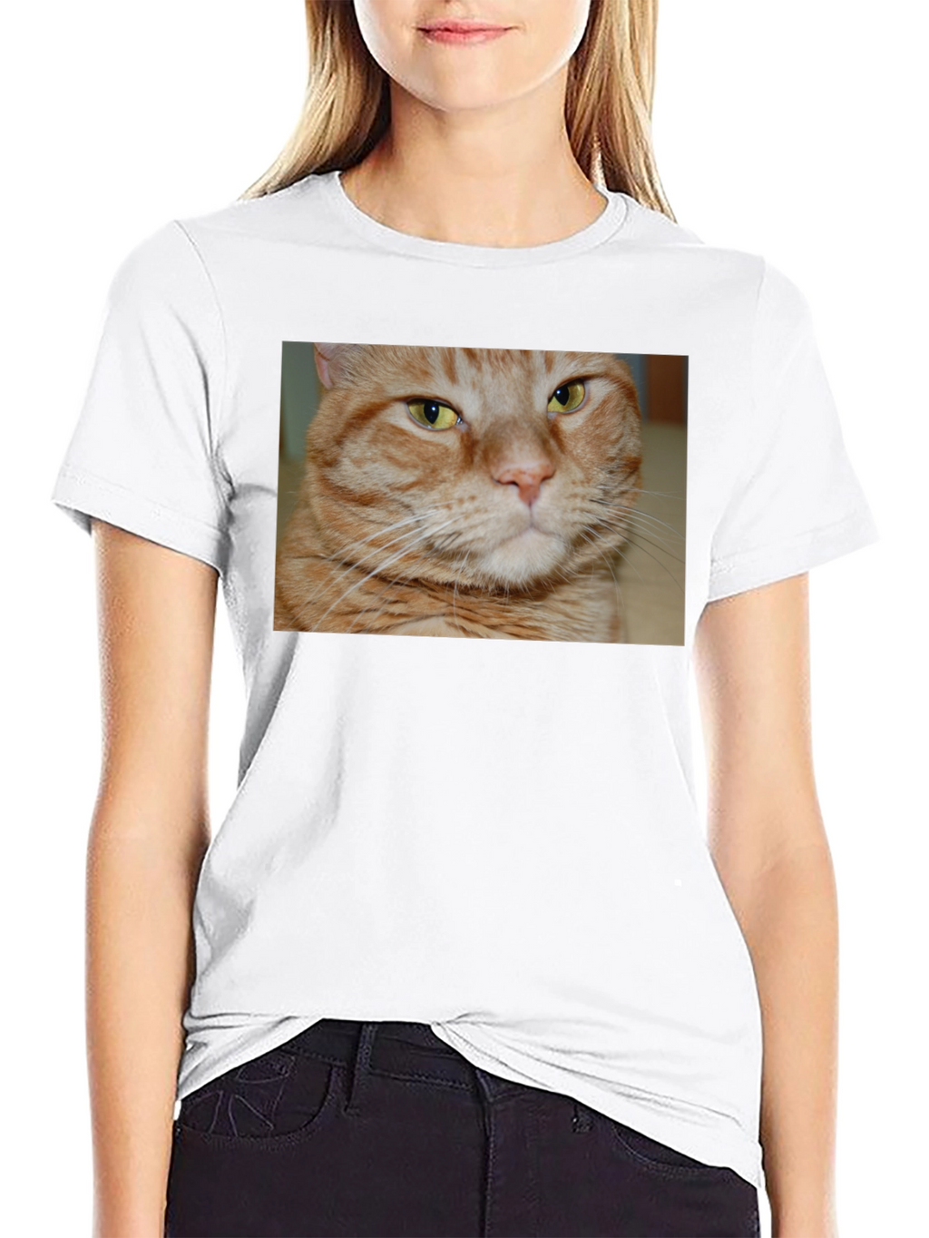 Ginger Cat Graphic T-Shirt - Mens Black Tee